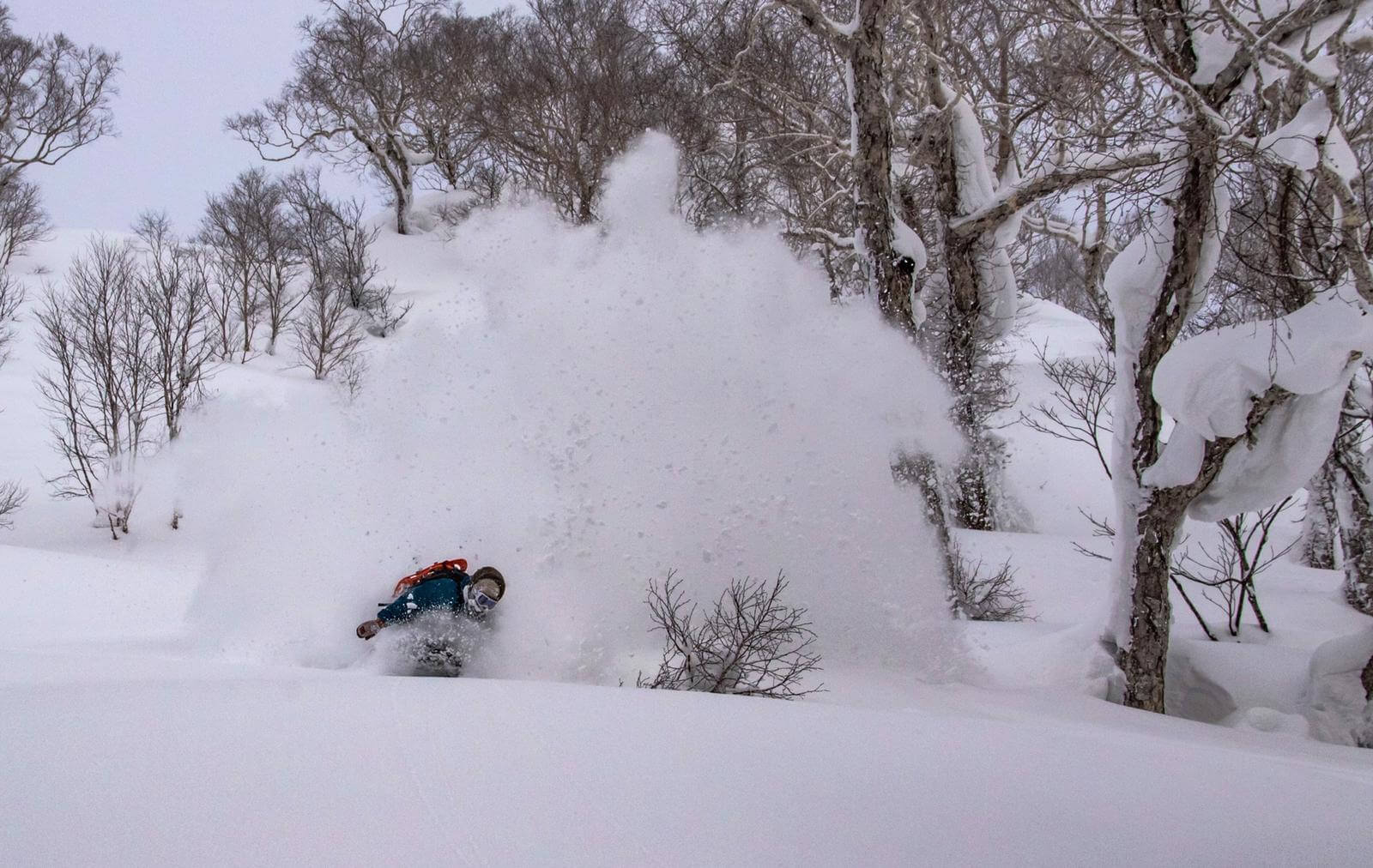 Ski & Snow Camp Japón, Tokio y Hakuba 